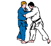 tai otoshi